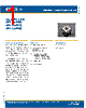CP41A-PHS Datasheet HTML 1Page - Cree, Inc 