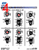 DH221HLCSWNT Datasheet HTML 4Page - CIT Relay & Switch 