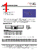 MF1303T-R15 Datasheet HTML 1Page - ECM Electronics Limited. 