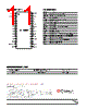 SPT7937 Datasheet HTML 11Page - CADEKA 