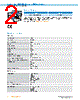 IRS100-R53OF43 Datasheet HTML 2Page - SICK AG 