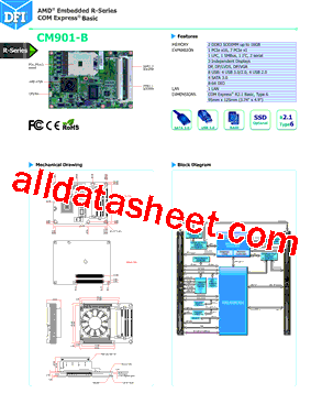 CM901-B Datasheet PDF - DFI Inc